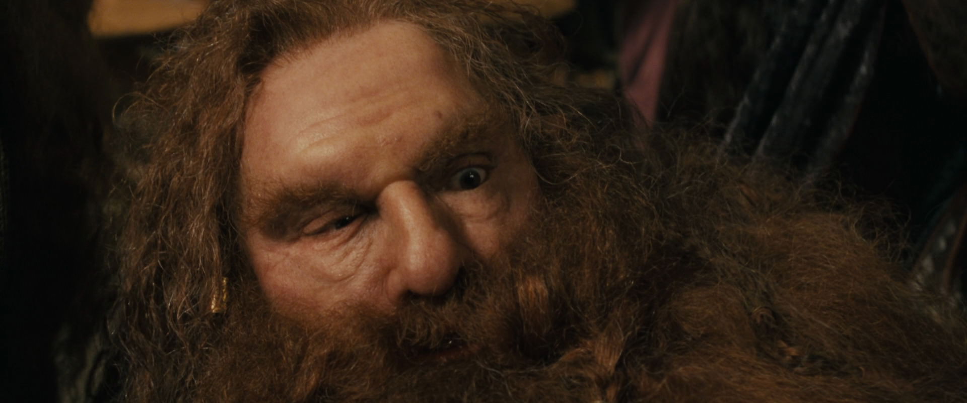 The Lord of the Rings: The Fellowship of the Ring (2001) screencap 11928