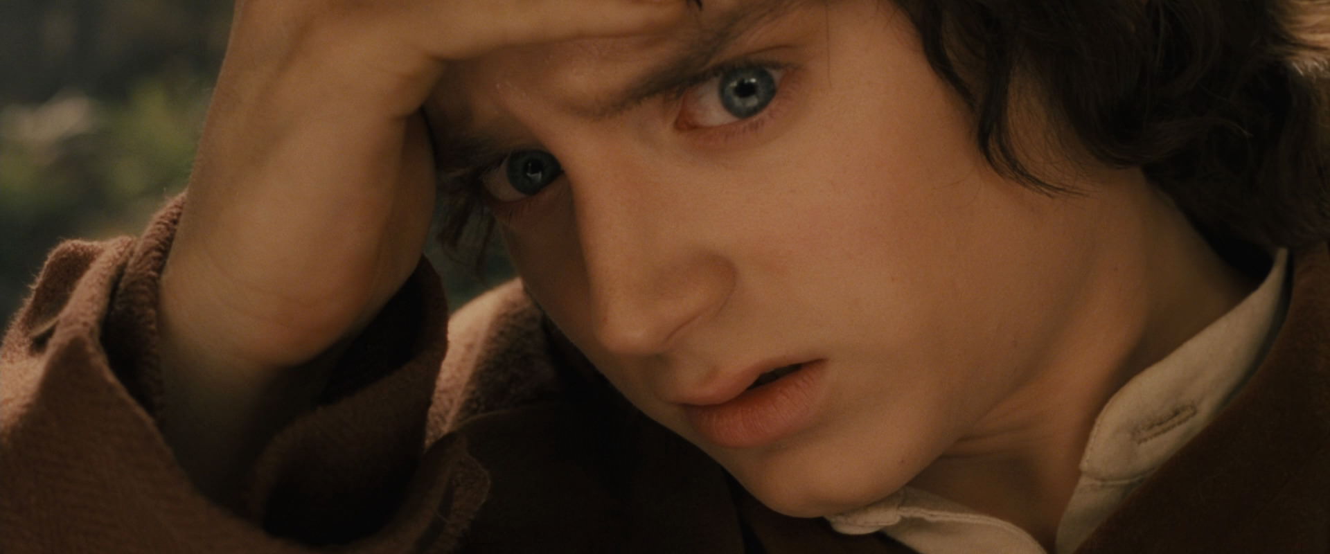The Lord of the Rings: The Fellowship of the Ring (2001) screencap 11952