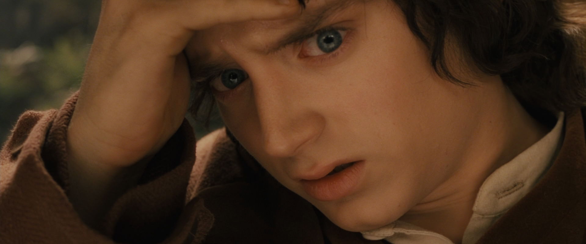 The Lord of the Rings: The Fellowship of the Ring (2001) movie still 11953
