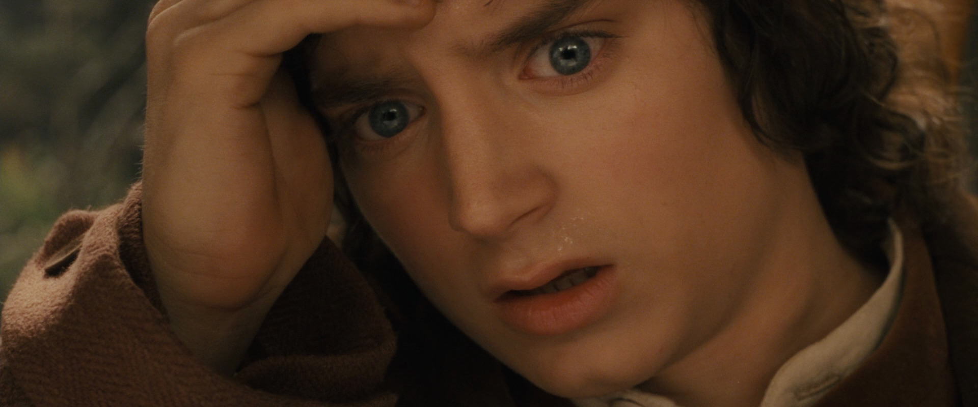 The Lord of the Rings: The Fellowship of the Ring (2001) screencap 11979