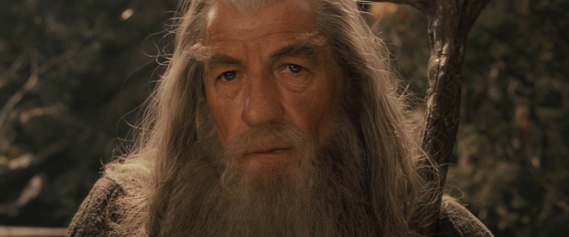 The Lord of the Rings: The Fellowship of the Ring (2001) screencap 12003