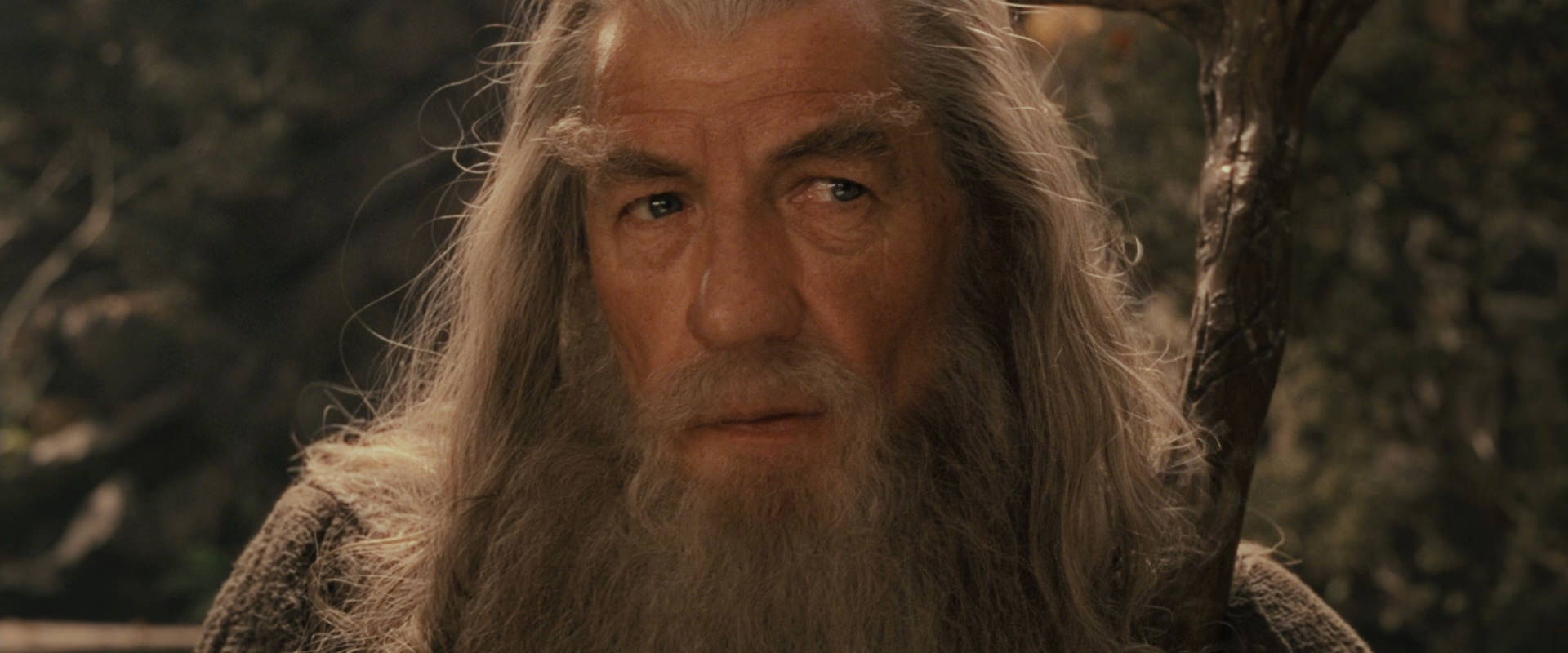 The Lord of the Rings: The Fellowship of the Ring (2001) movie still 12004