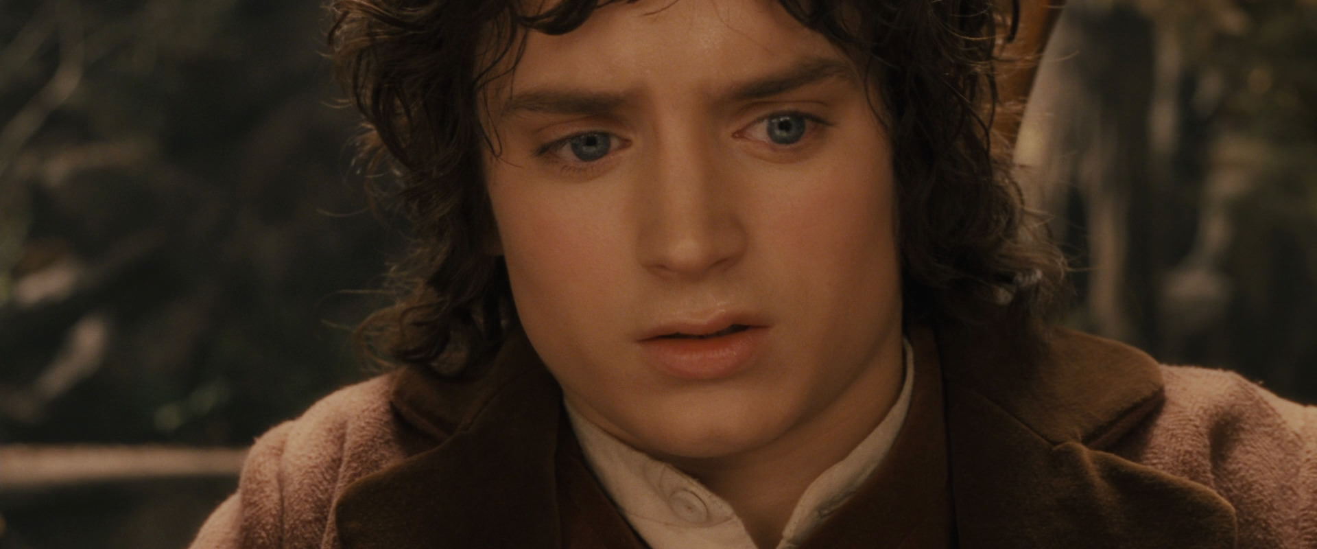 The Lord of the Rings: The Fellowship of the Ring (2001) screencap 12027