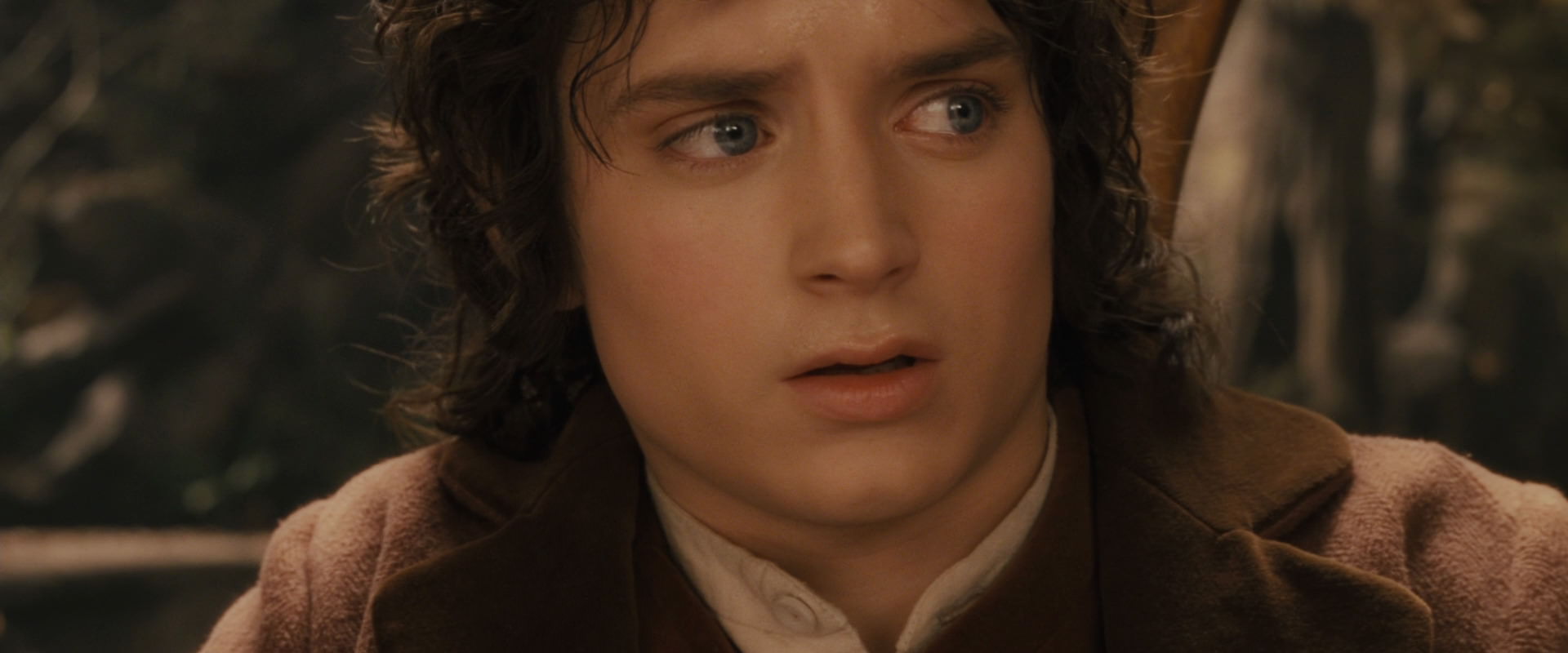 The Lord of the Rings: The Fellowship of the Ring (2001) movie still 12028