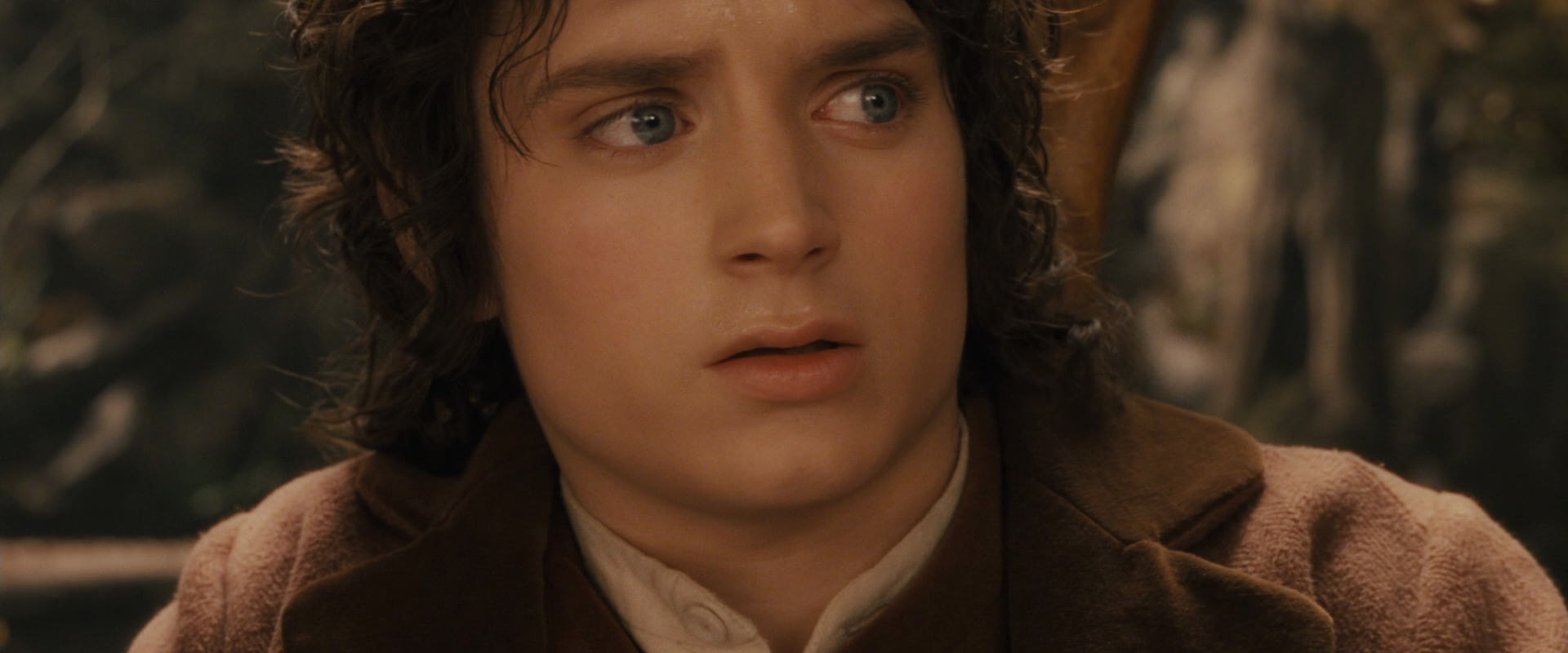 The Lord of the Rings: The Fellowship of the Ring (2001) screencap 12030