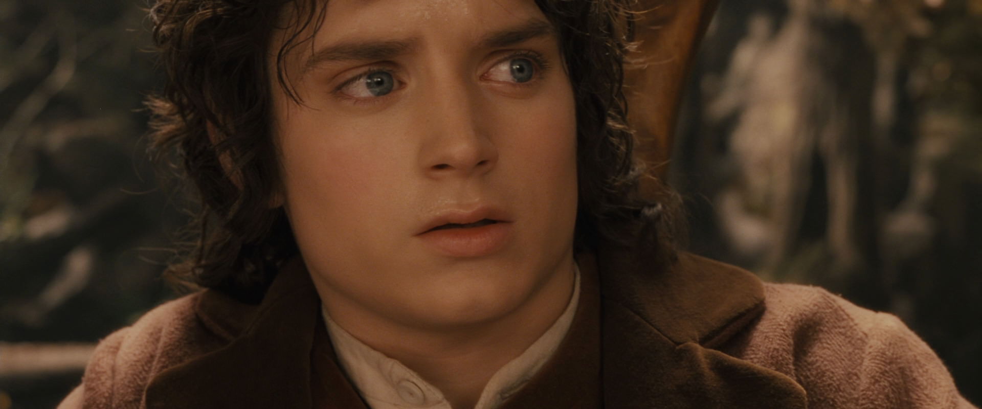 The Lord of the Rings: The Fellowship of the Ring (2001) movie still 12031