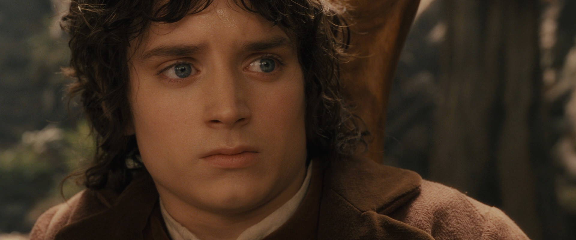 The Lord of the Rings: The Fellowship of the Ring (2001) HD screenshot 12044