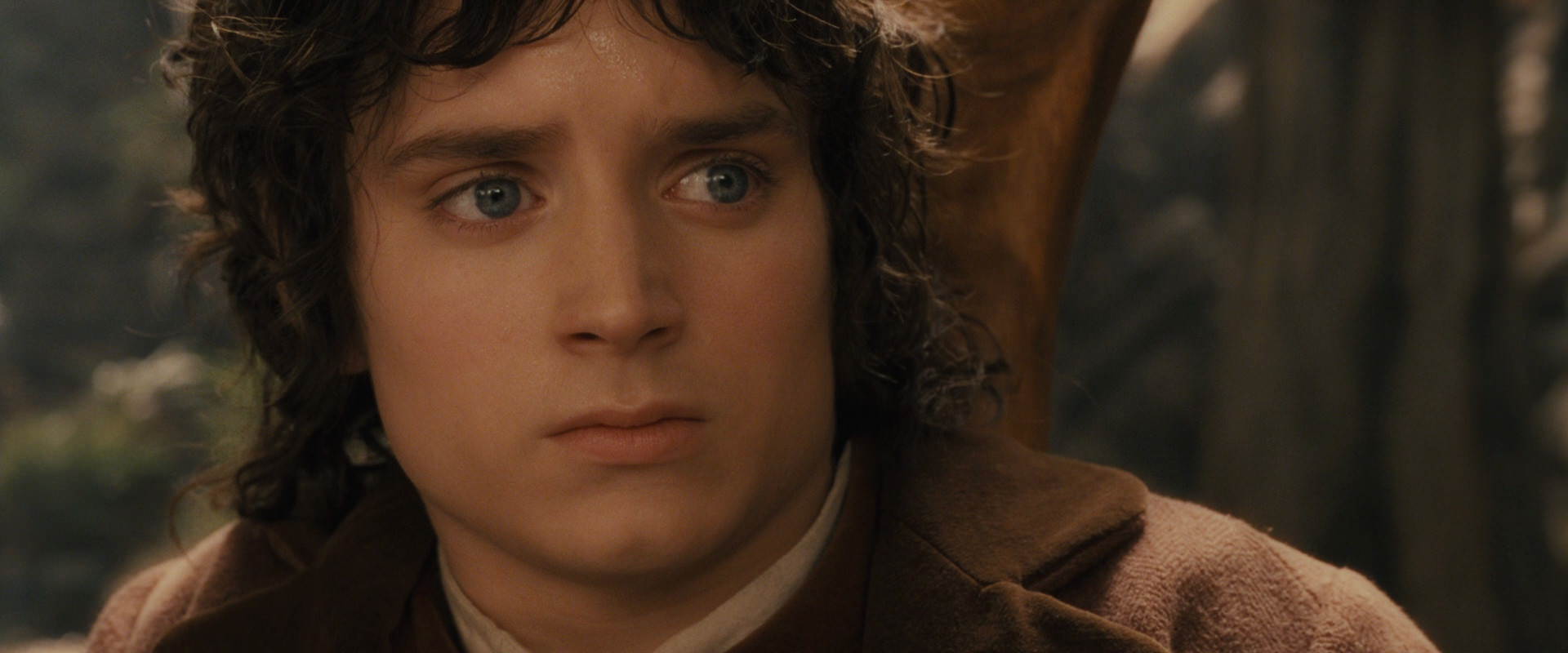 The Lord of the Rings: The Fellowship of the Ring (2001) screencap 12045
