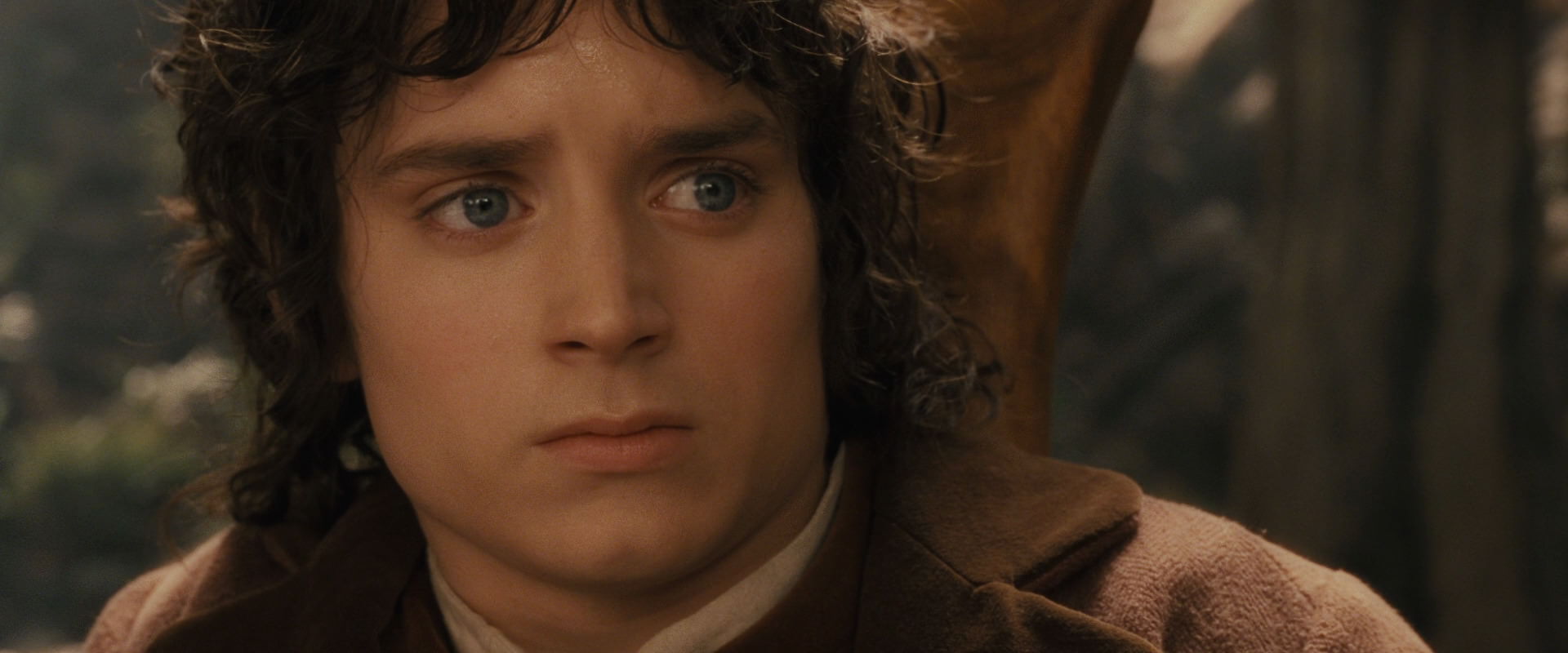 The Lord of the Rings: The Fellowship of the Ring (2001) movie still 12046