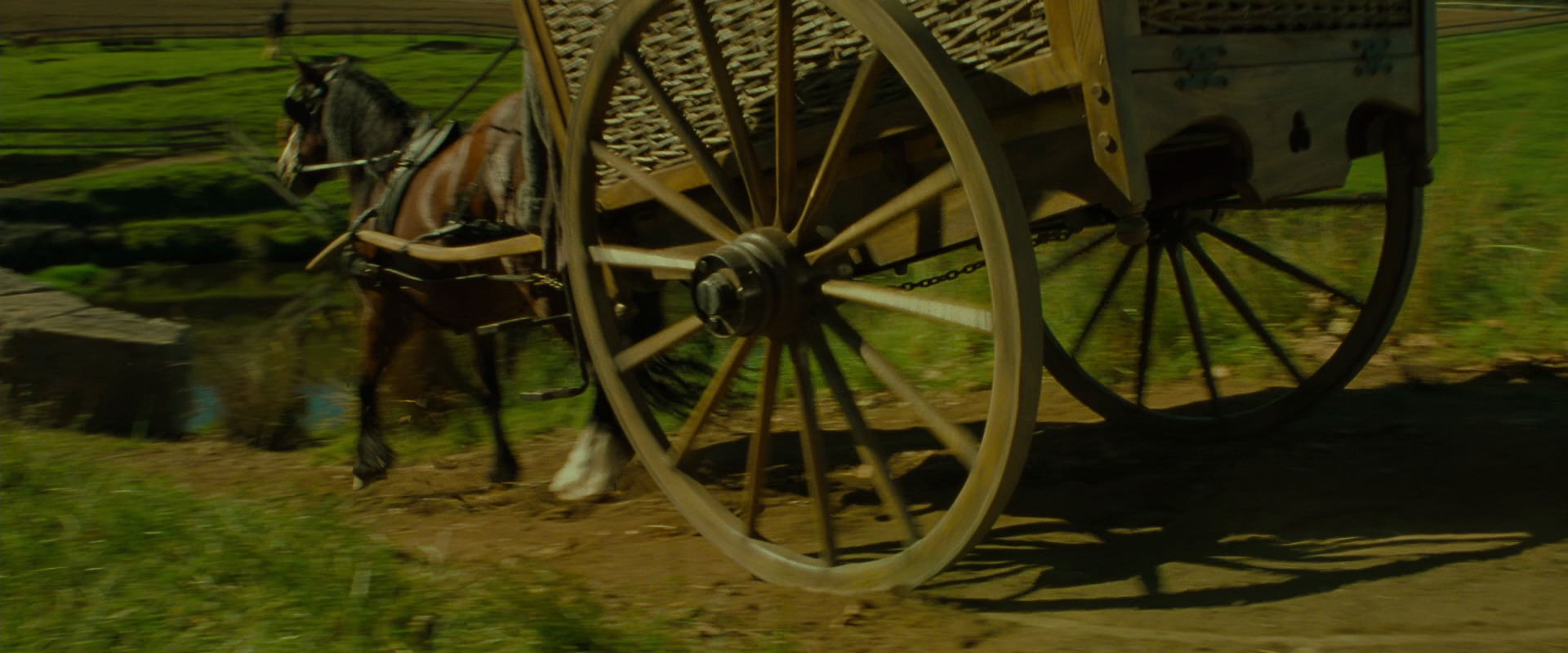 The Lord of the Rings: The Fellowship of the Ring (2001) screencap 1206