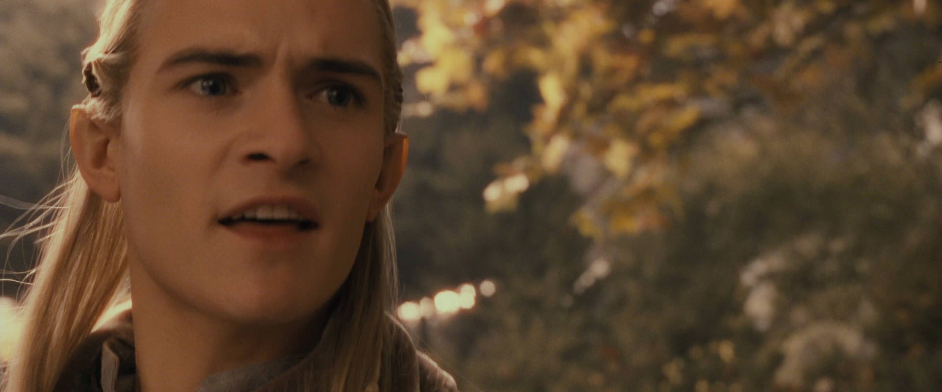 The Lord of the Rings: The Fellowship of the Ring (2001) HD screenshot 12065