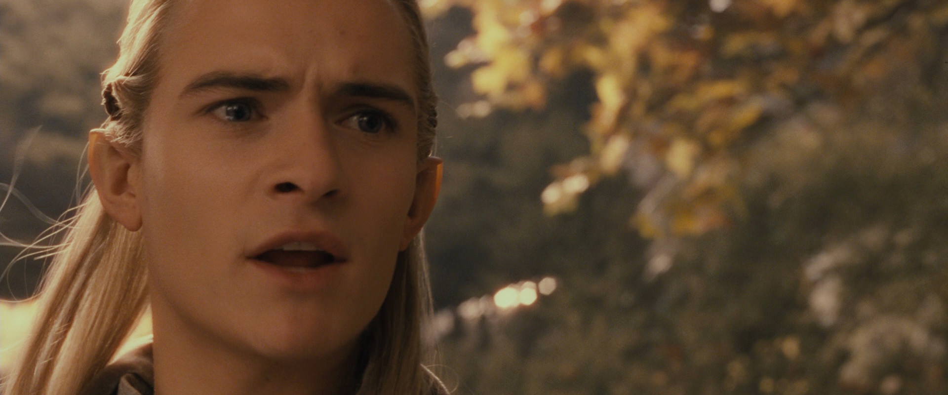 The Lord of the Rings: The Fellowship of the Ring (2001) screencap 12066