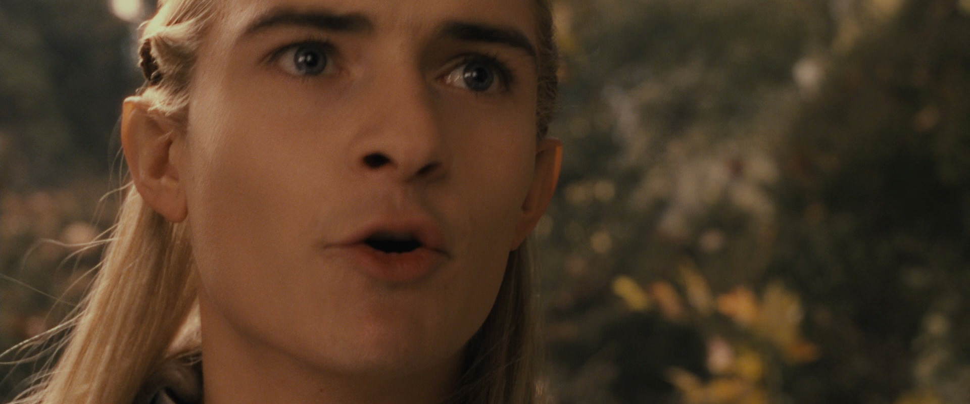 The Lord of the Rings: The Fellowship of the Ring (2001) movie still 12070