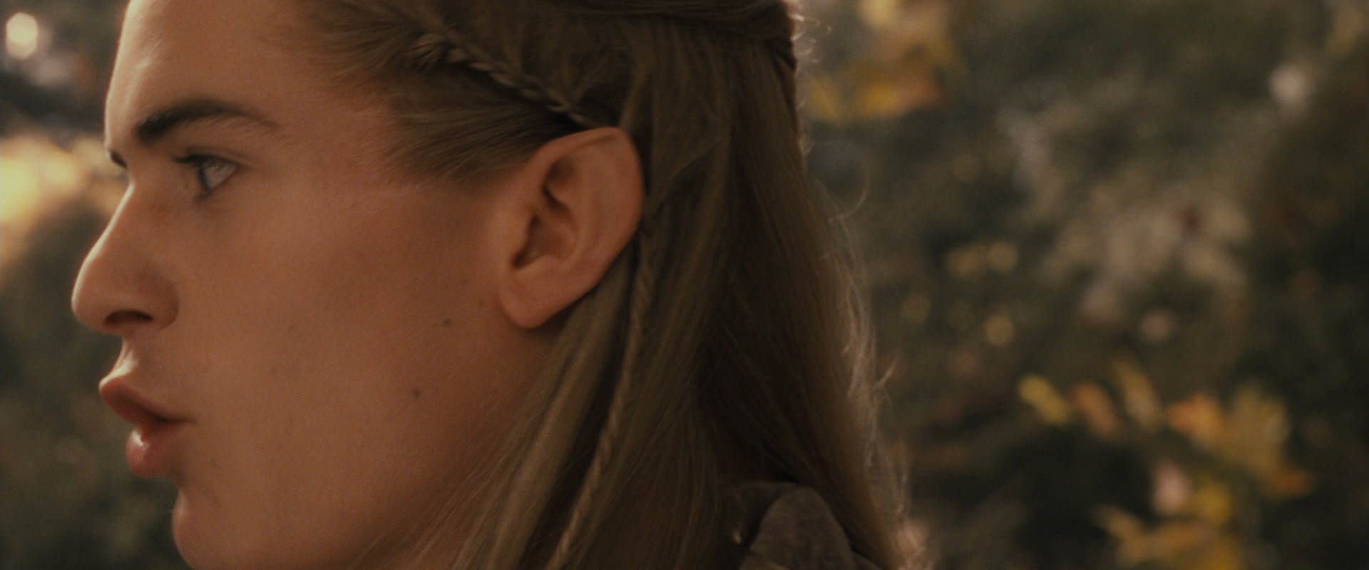 The Lord of the Rings: The Fellowship of the Ring (2001) screencap 12072