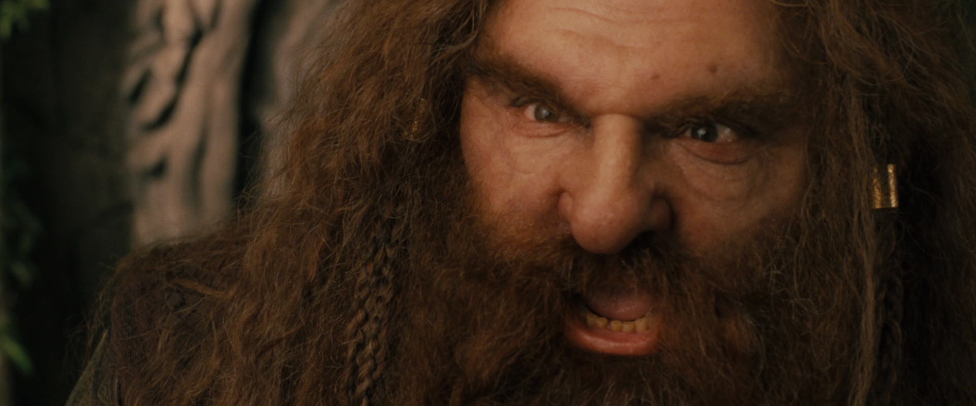 The Lord of the Rings: The Fellowship of the Ring (2001) screencap 12093