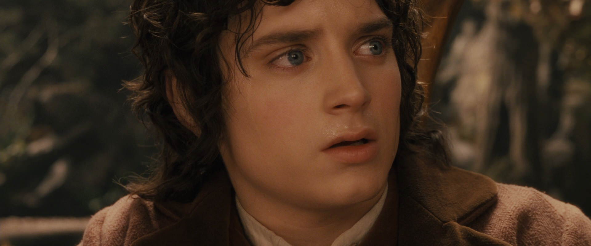 The Lord of the Rings: The Fellowship of the Ring (2001) screencap 12108