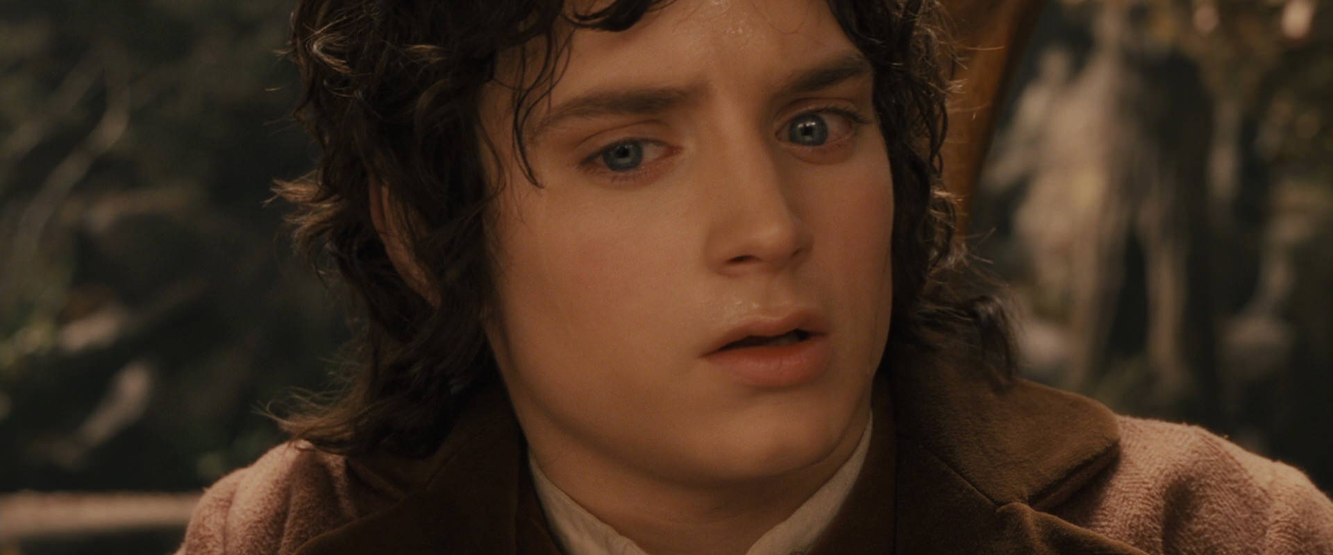 The Lord of the Rings: The Fellowship of the Ring (2001) movie still 12109