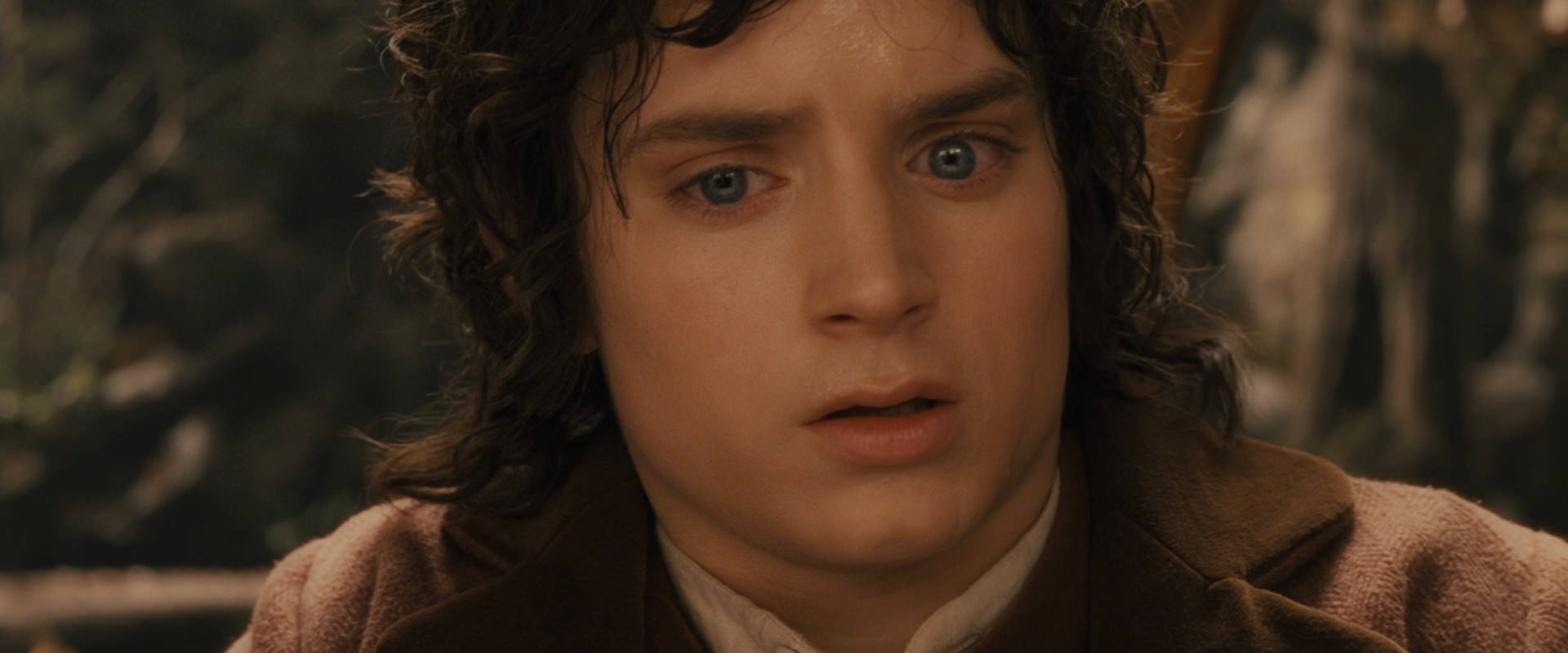 The Lord of the Rings: The Fellowship of the Ring (2001) screencap 12114
