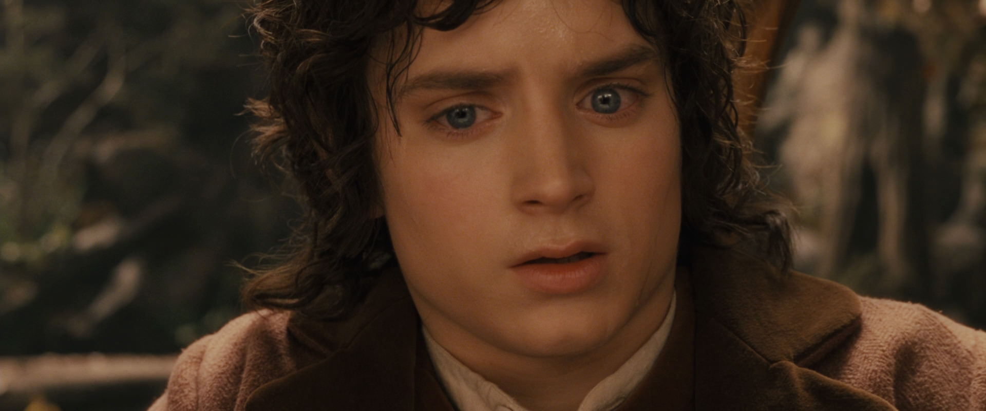 The Lord of the Rings: The Fellowship of the Ring (2001) movie still 12115