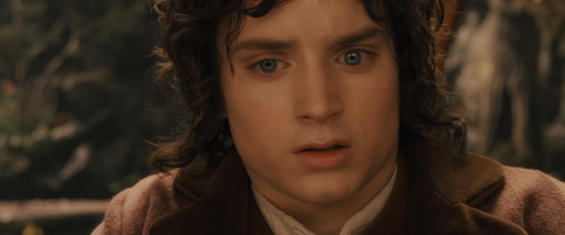 The Lord of the Rings: The Fellowship of the Ring (2001) screencap 12117