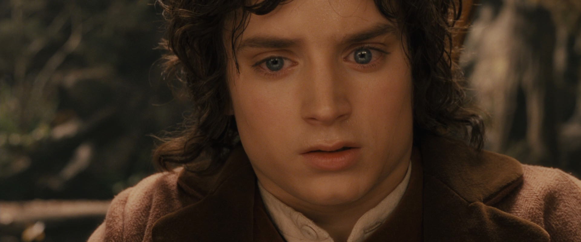 The Lord of the Rings: The Fellowship of the Ring (2001) movie still 12118