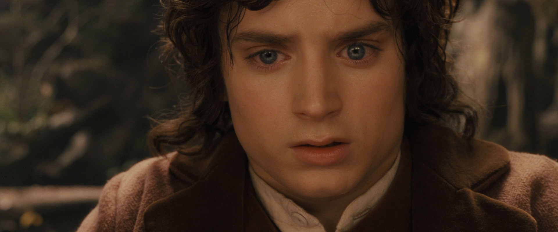 The Lord of the Rings: The Fellowship of the Ring (2001) screencap 12120