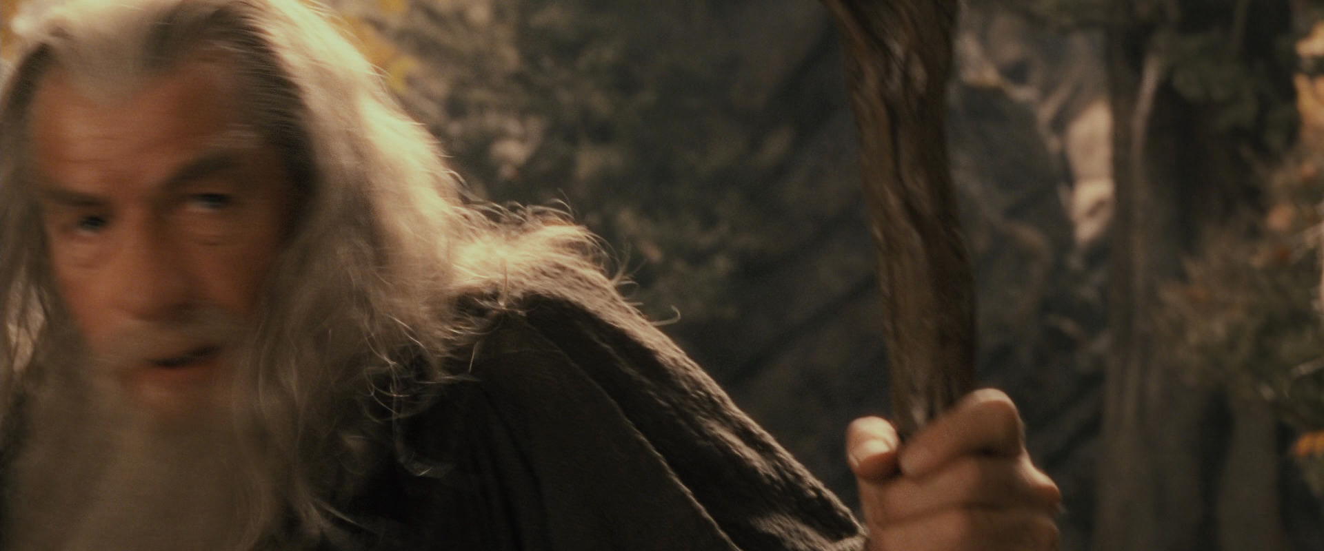 The Lord of the Rings: The Fellowship of the Ring (2001) screencap 12123