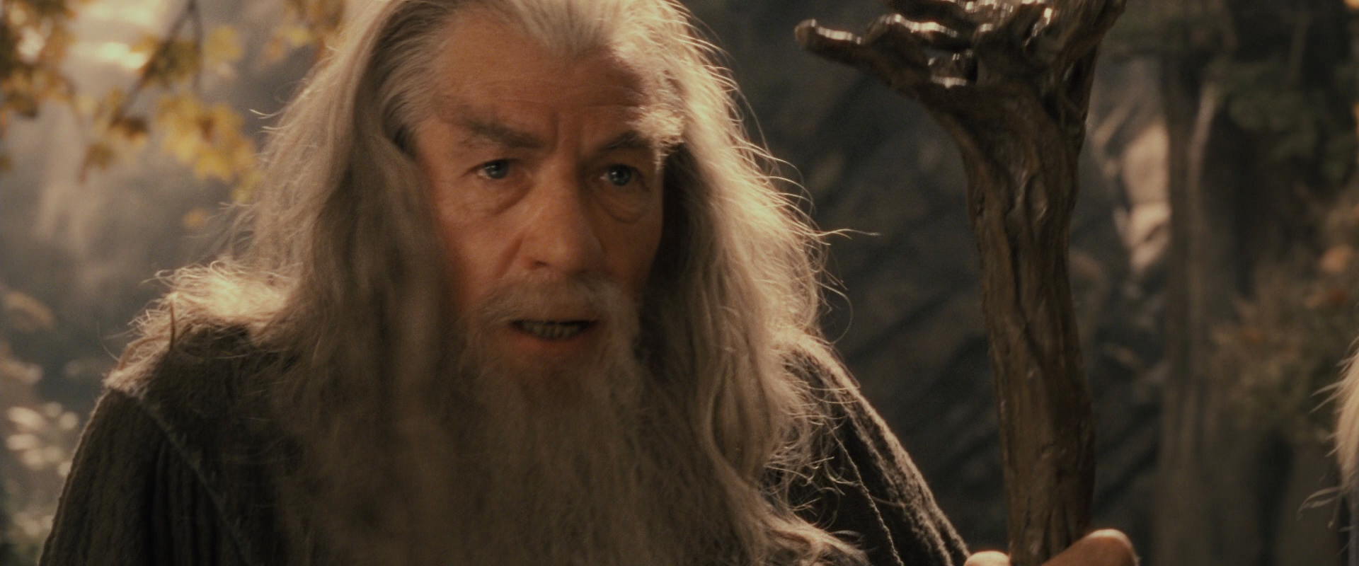 The Lord of the Rings: The Fellowship of the Ring (2001) movie still 12124