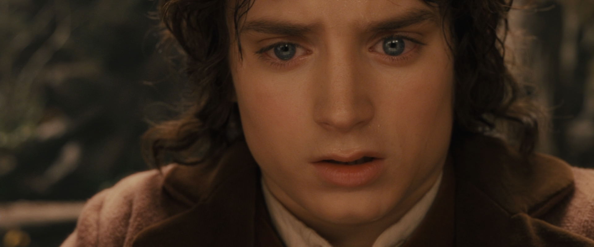 The Lord of the Rings: The Fellowship of the Ring (2001) screencap 12129