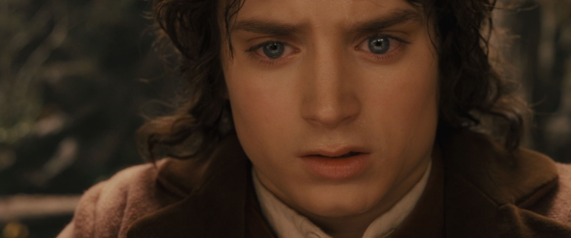 The Lord of the Rings: The Fellowship of the Ring (2001) movie still 12130