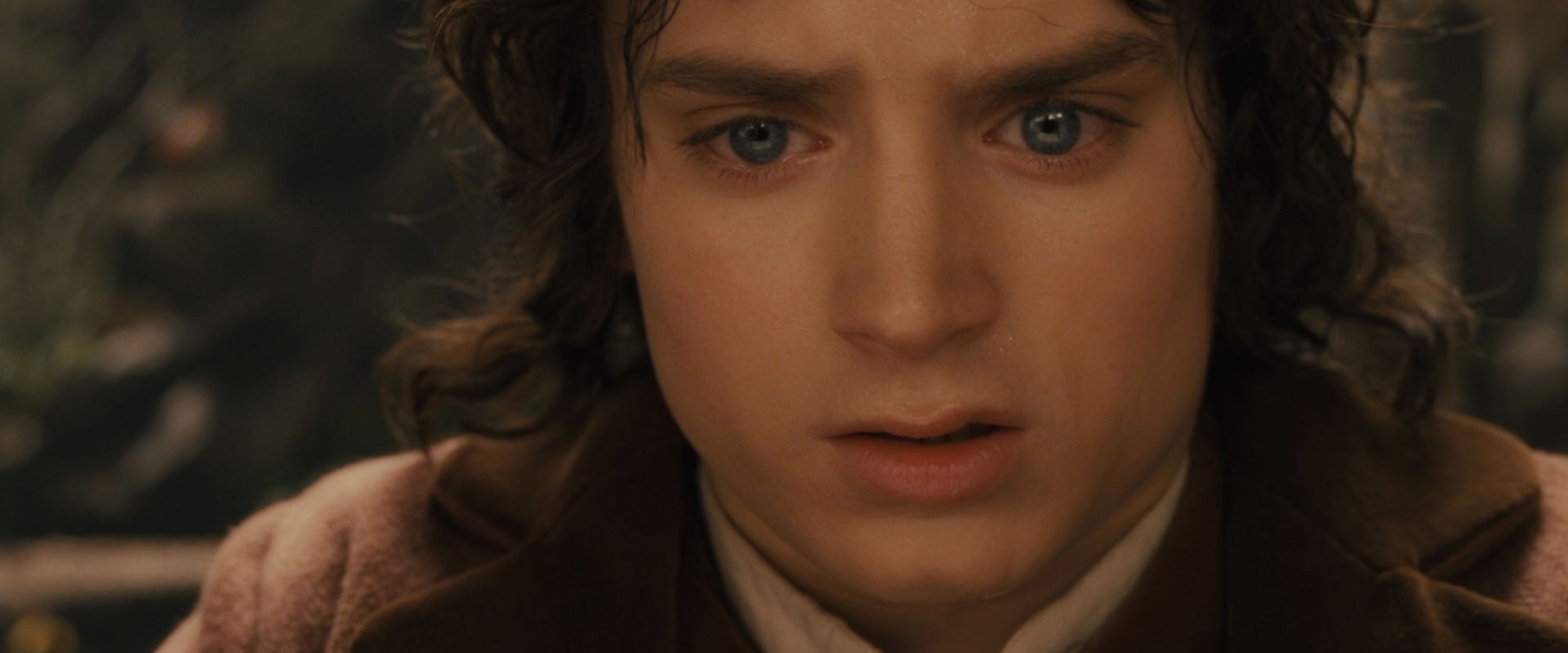 The Lord of the Rings: The Fellowship of the Ring (2001) HD screenshot 12131