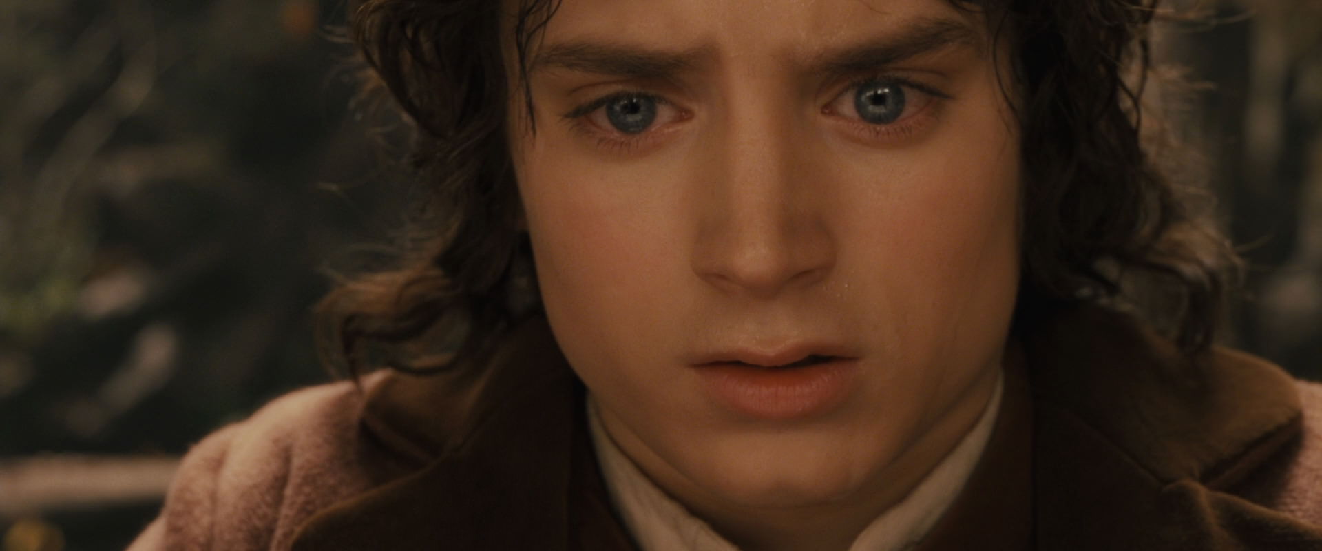 The Lord of the Rings: The Fellowship of the Ring (2001) screencap 12132