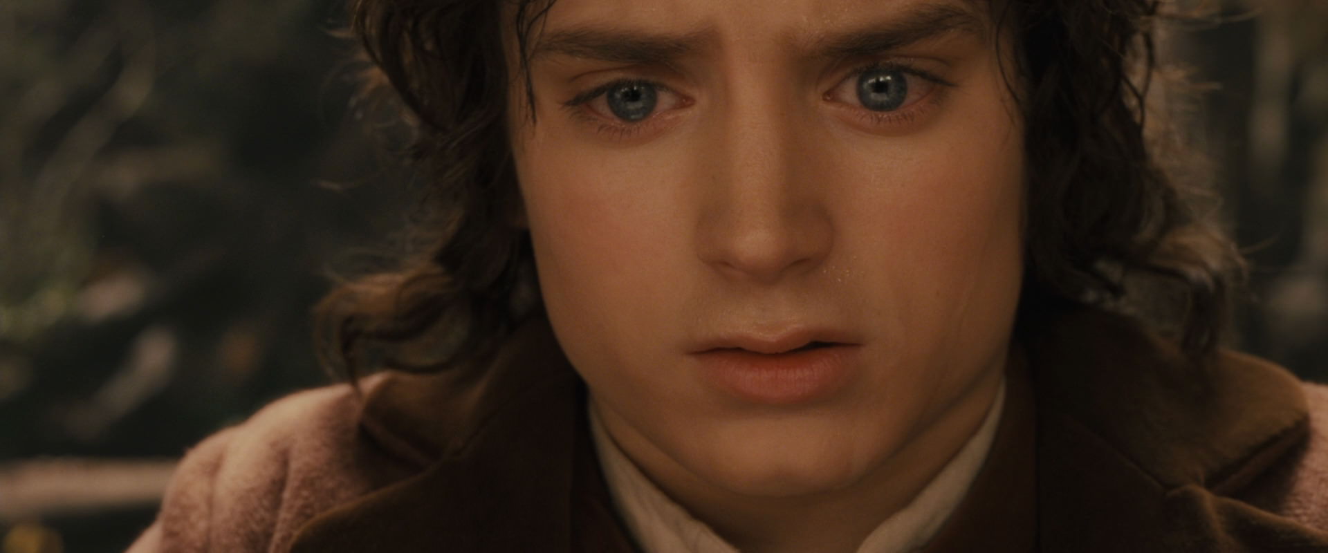 The Lord of the Rings: The Fellowship of the Ring (2001) movie still 12133