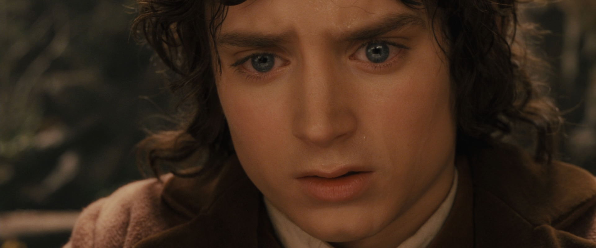 The Lord of the Rings: The Fellowship of the Ring (2001) movie still 12145