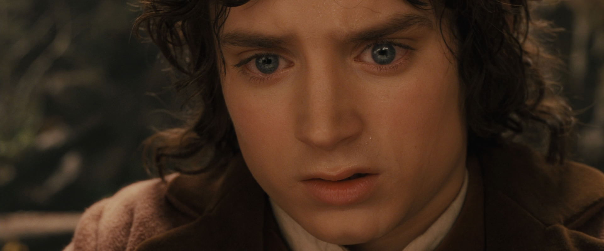 The Lord of the Rings: The Fellowship of the Ring (2001) HD screenshot 12146