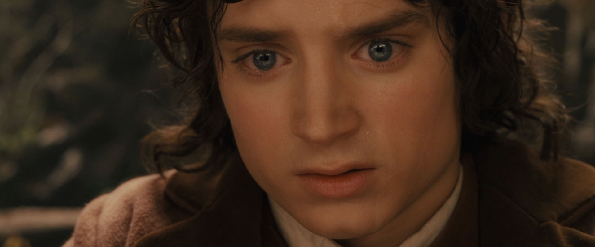The Lord of the Rings: The Fellowship of the Ring (2001) screencap 12147