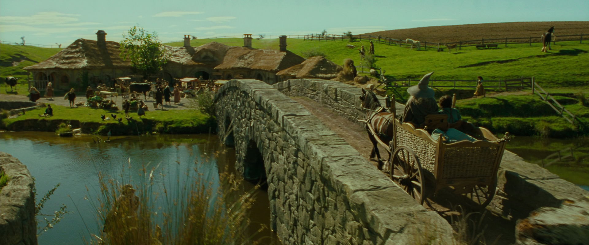 The Lord of the Rings: The Fellowship of the Ring (2001) screencap 1215