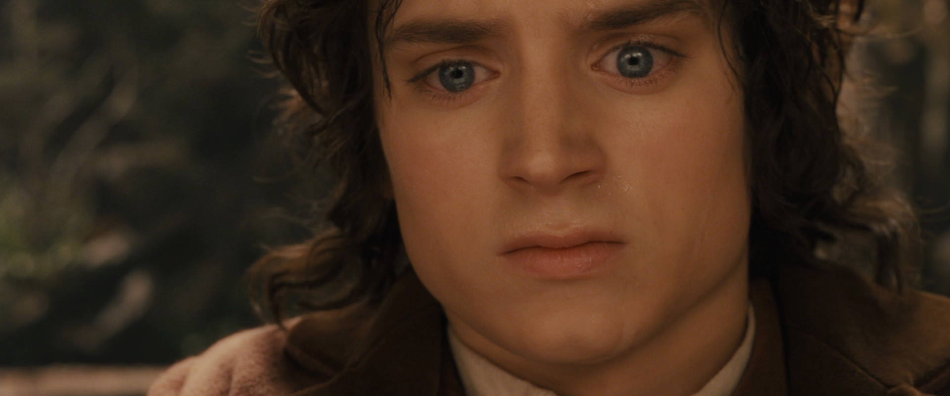 The Lord of the Rings: The Fellowship of the Ring (2001) HD screenshot 12158