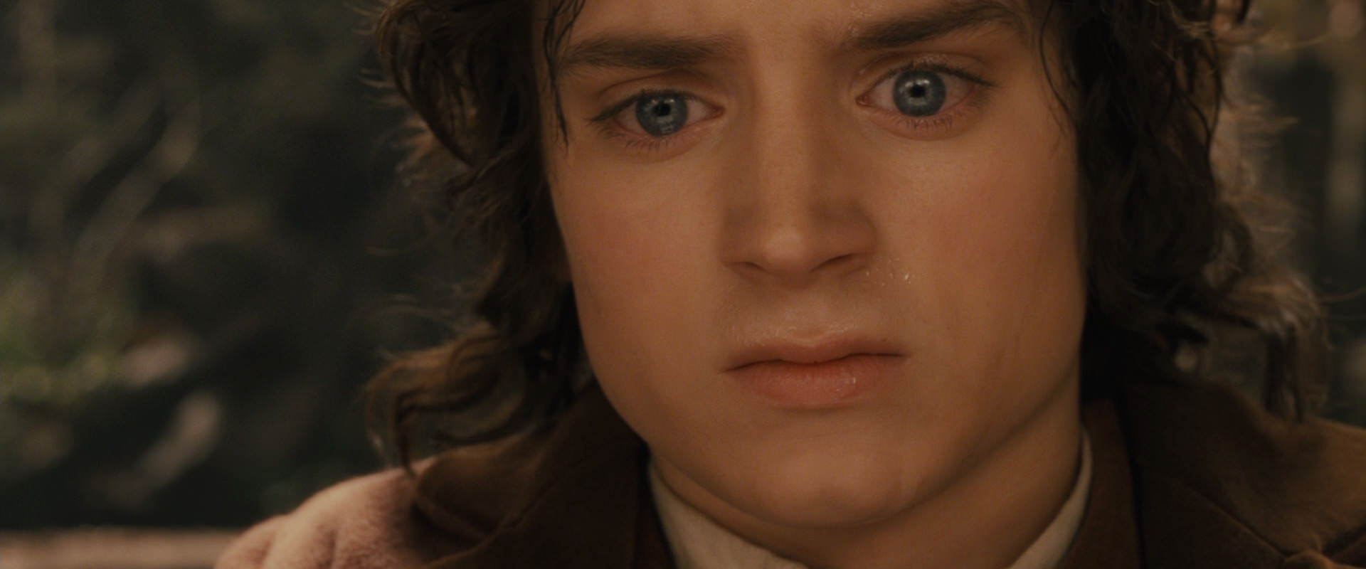The Lord of the Rings: The Fellowship of the Ring (2001) screencap 12159