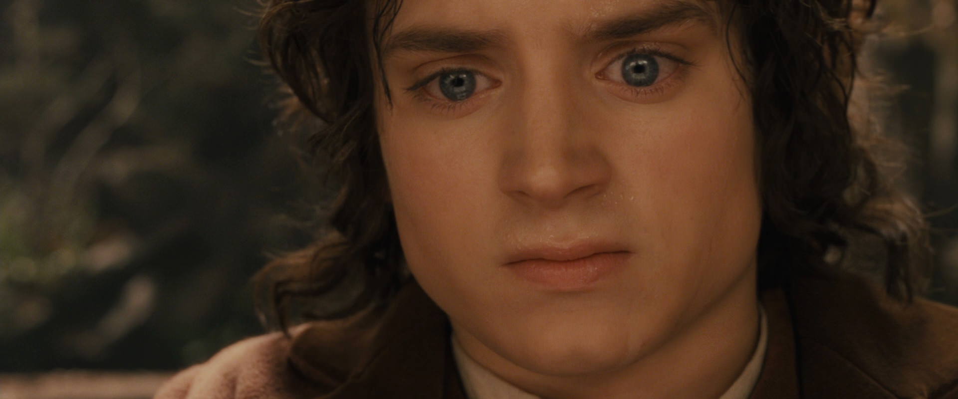 The Lord of the Rings: The Fellowship of the Ring (2001) movie still 12160