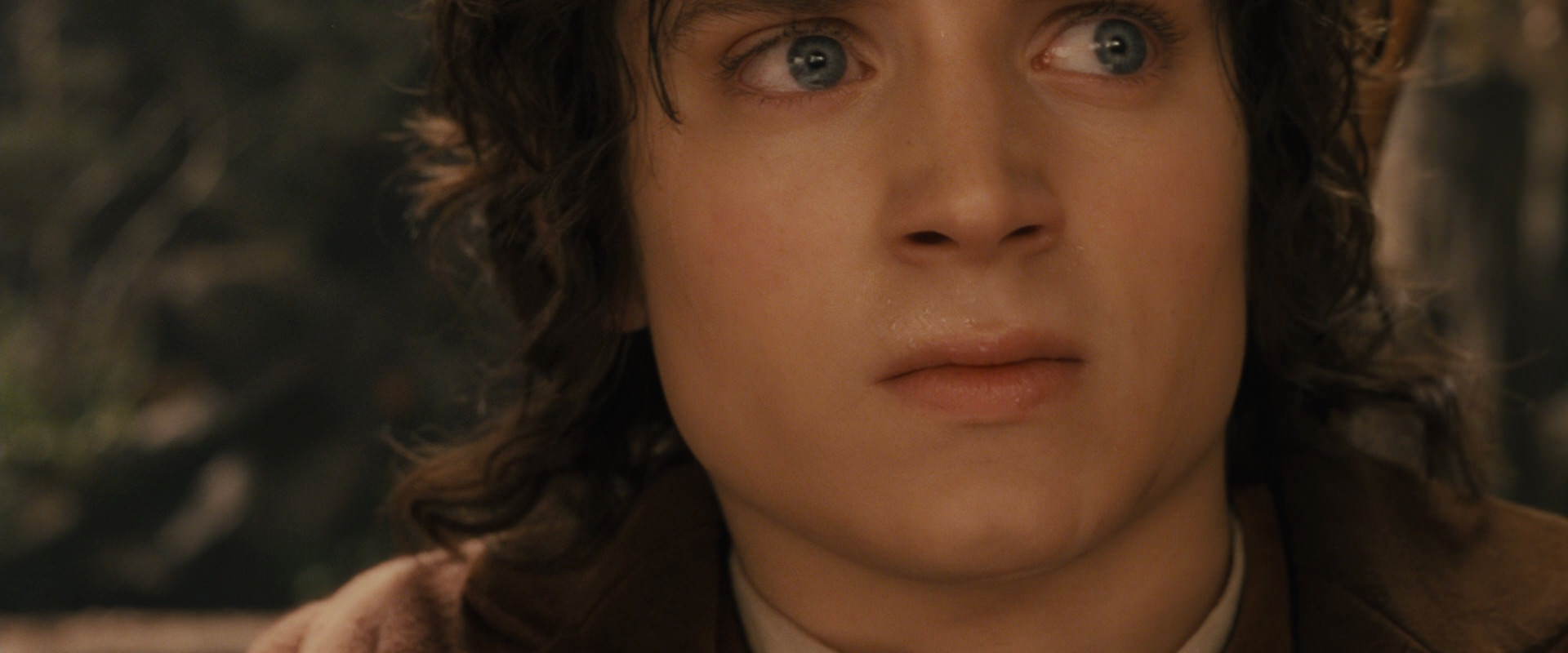 The Lord of the Rings: The Fellowship of the Ring (2001) HD screenshot 12161
