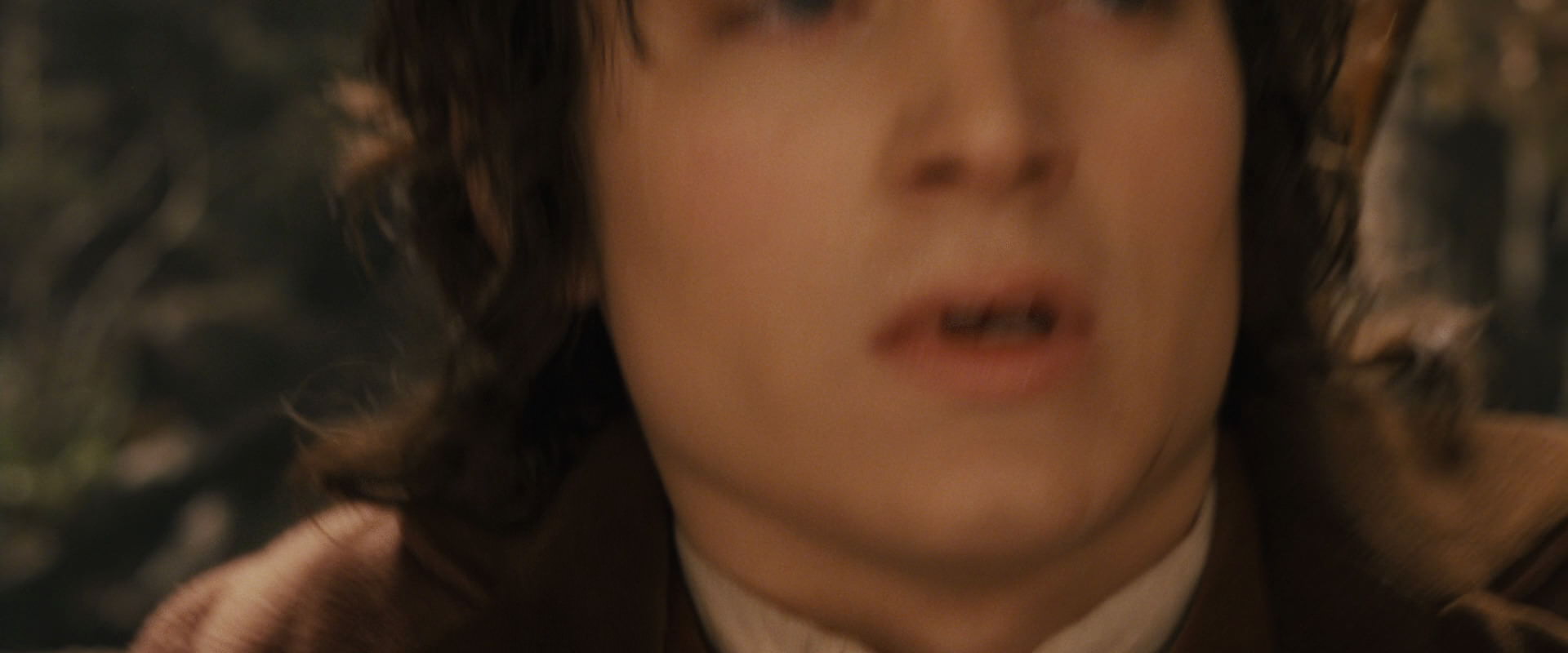 The Lord of the Rings: The Fellowship of the Ring (2001) screencap 12162