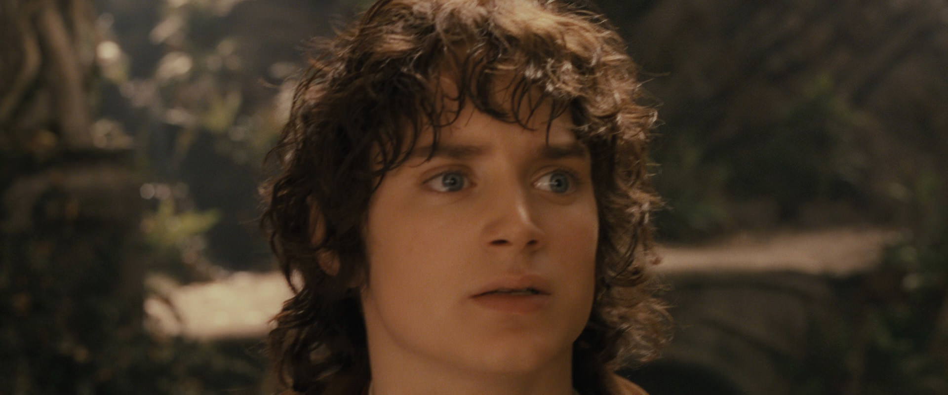 The Lord of the Rings: The Fellowship of the Ring (2001) HD screenshot 12164