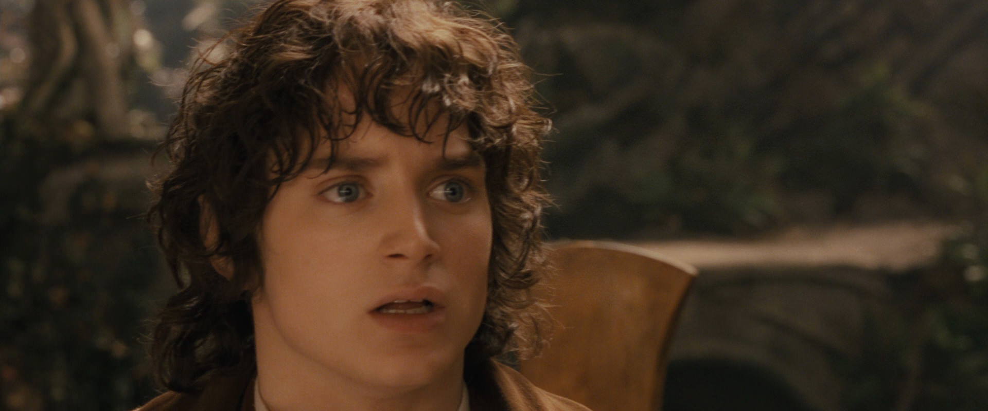 The Lord of the Rings: The Fellowship of the Ring (2001) screencap 12165