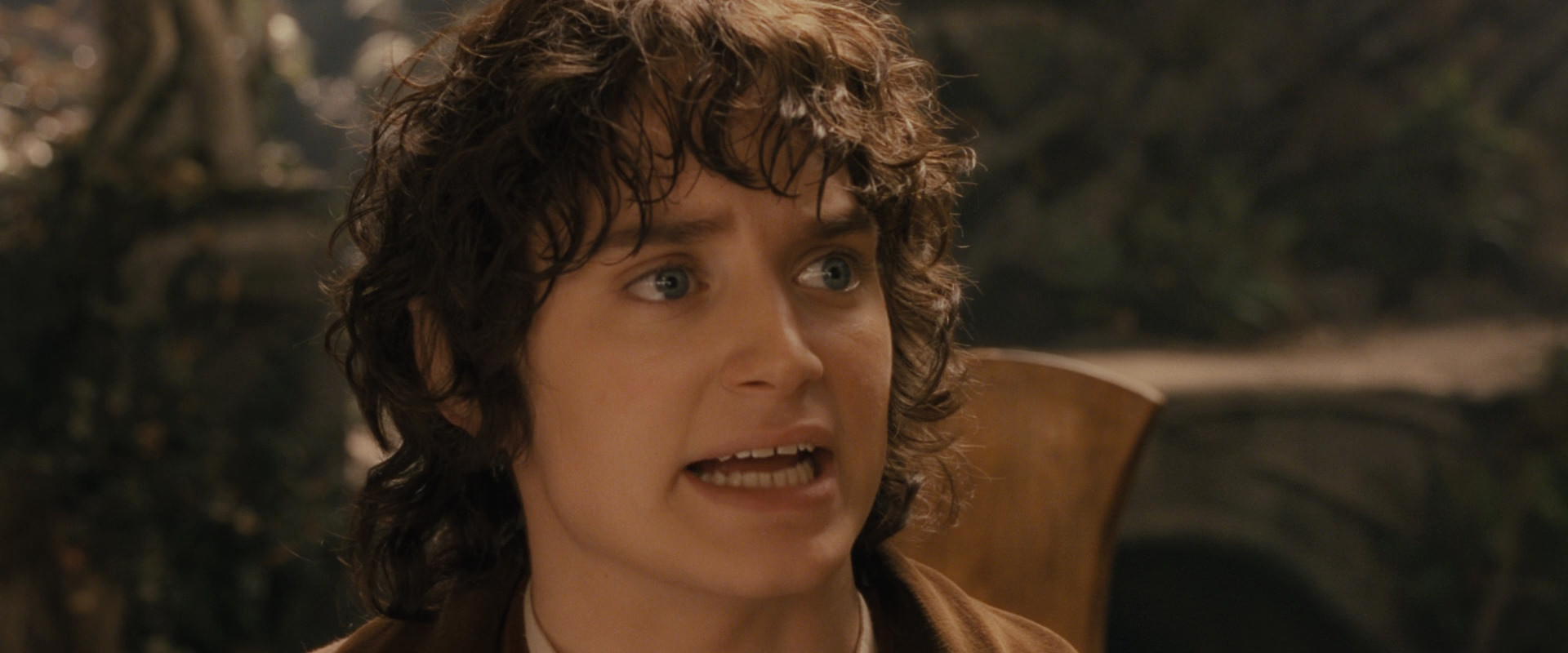 The Lord of the Rings: The Fellowship of the Ring (2001) HD screenshot 12167