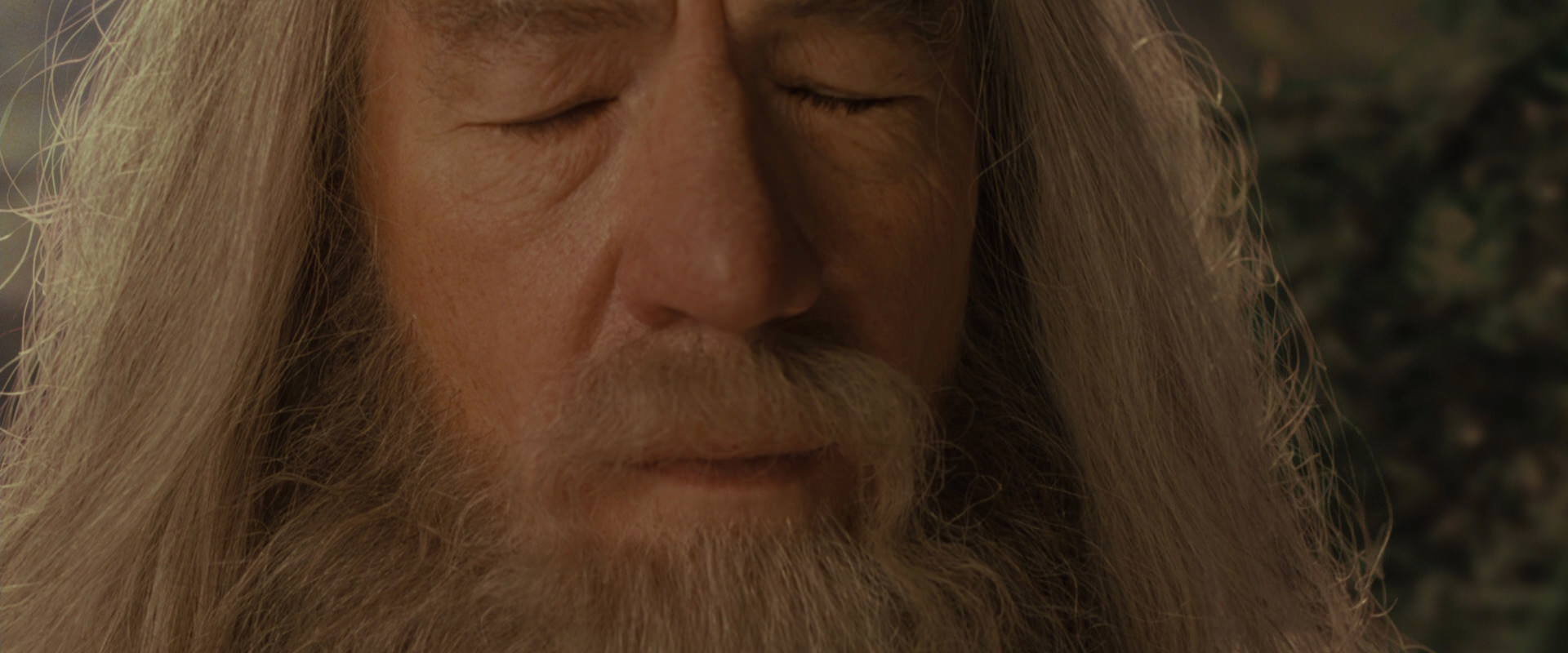 The Lord of the Rings: The Fellowship of the Ring (2001) screencap 12180