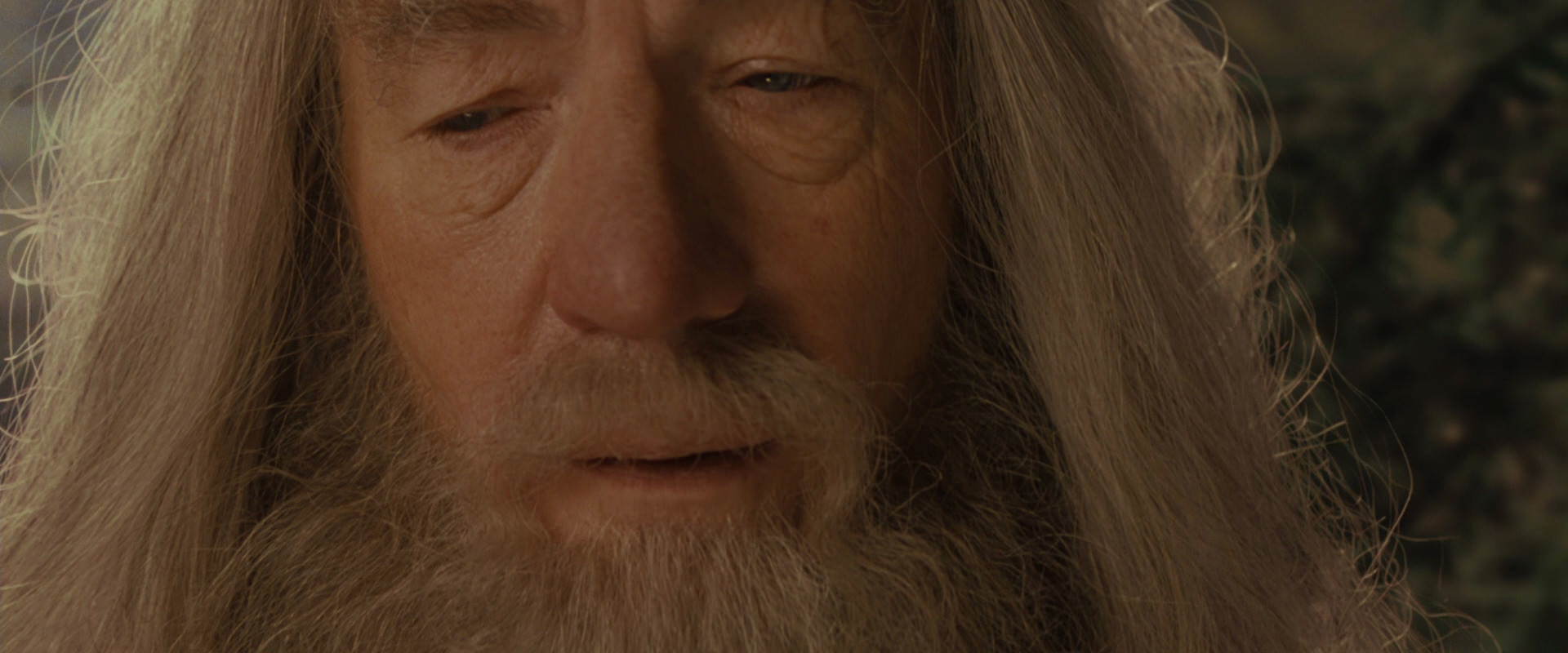 The Lord of the Rings: The Fellowship of the Ring (2001) screencap 12183