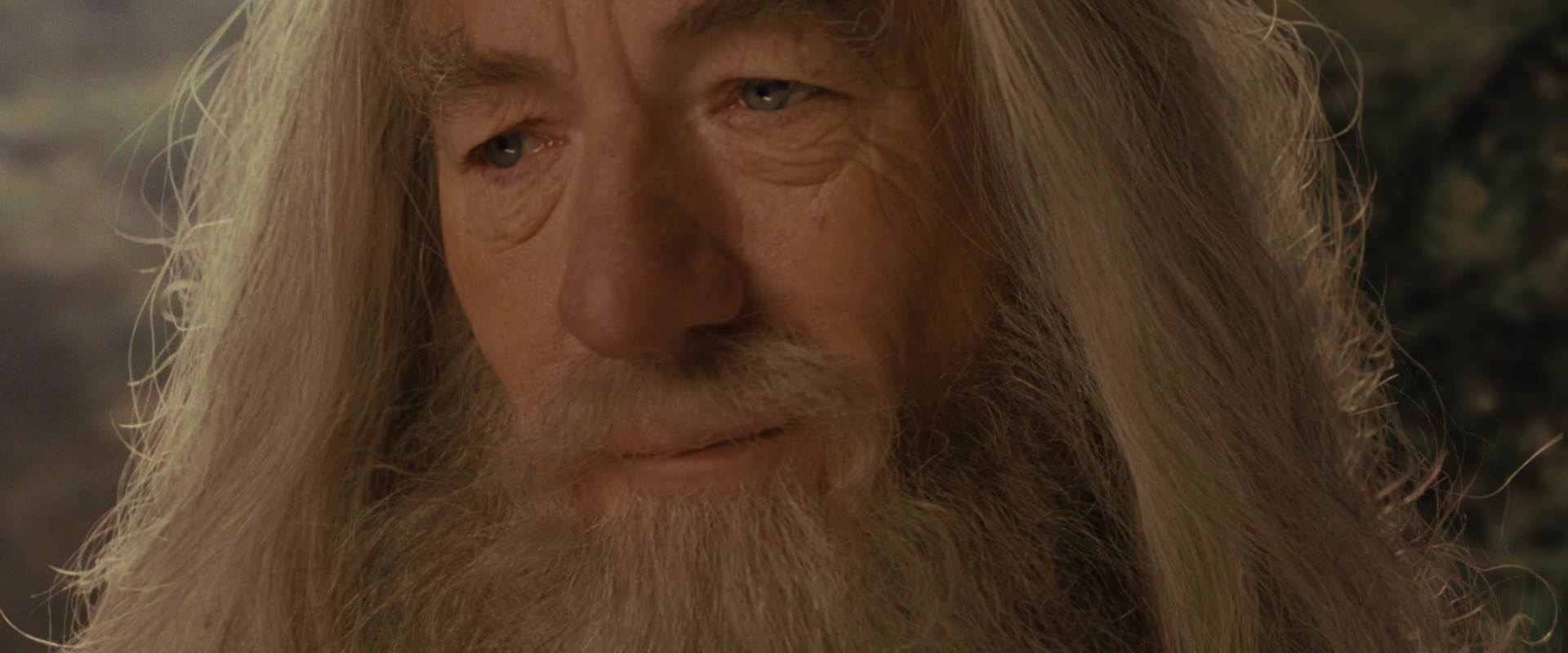 The Lord of the Rings: The Fellowship of the Ring (2001) screencap 12186