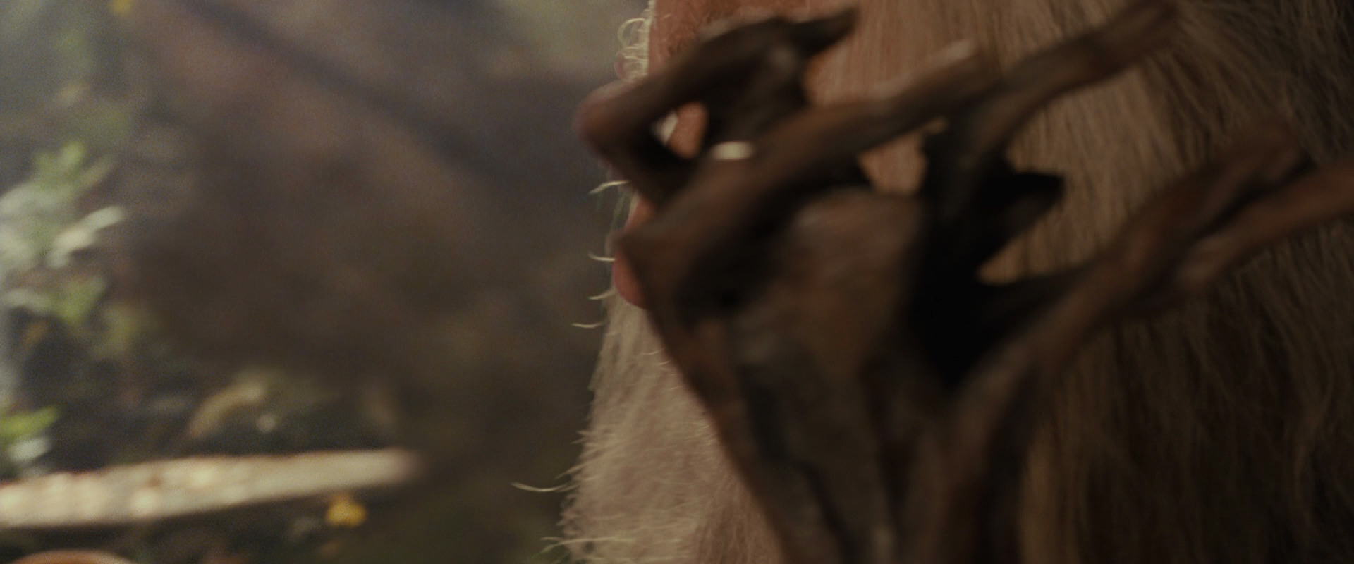 The Lord of the Rings: The Fellowship of the Ring (2001) screencap 12189