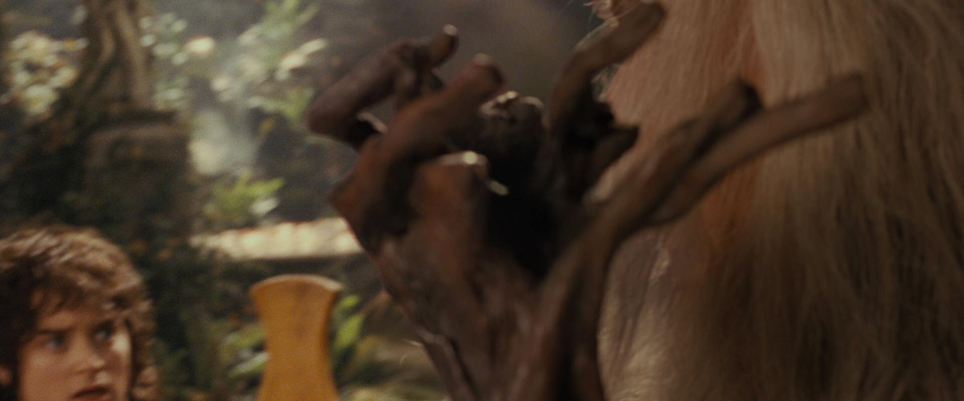 The Lord of the Rings: The Fellowship of the Ring (2001) movie still 12190